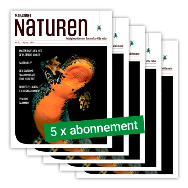 Magasinet Naturen 5 x abonnement, 1 år (2 udgivelser). Bestil her.
