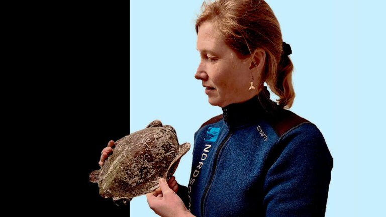 Biolog Kristina Skands Ydesen med en suppeskildpadde.